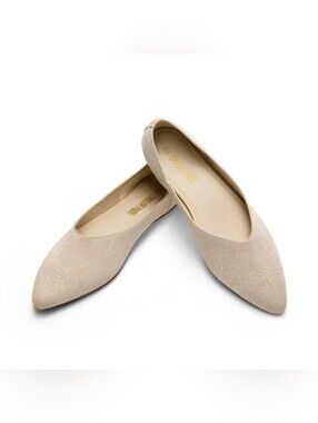 Brand new NIB Dream Pairs pointed toe ballet flats